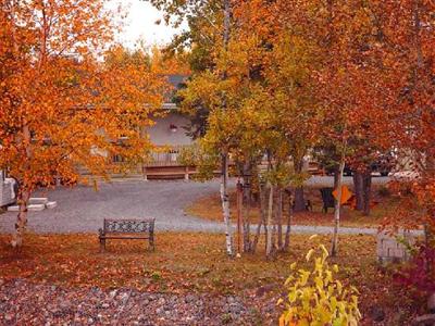 фото отеля Motel des Cascades