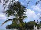 фото отеля Discovery Bay by Rex Resorts