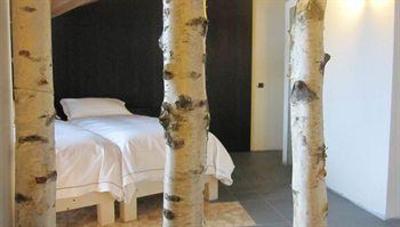 фото отеля Alpen Hotel Chalet