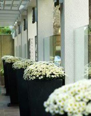 фото отеля The Y Hotel Kifissia