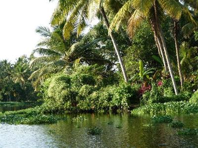 фото отеля Marari Fishermen Village Beach Resort