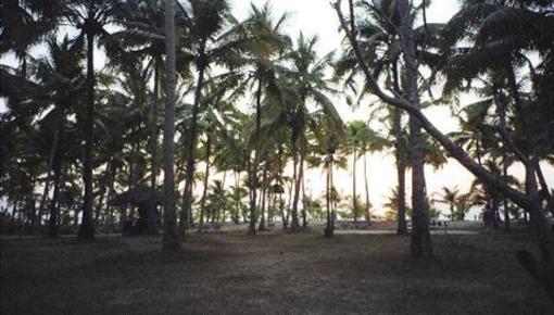 фото отеля Marari Fishermen Village Beach Resort