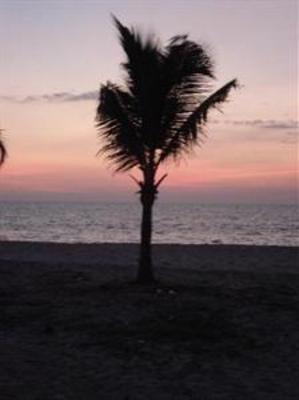 фото отеля Marari Fishermen Village Beach Resort