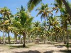 фото отеля Marari Fishermen Village Beach Resort