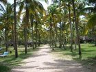 фото отеля Marari Fishermen Village Beach Resort