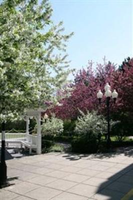 фото отеля Hampton Inn Burlington Colchester (Vermont)