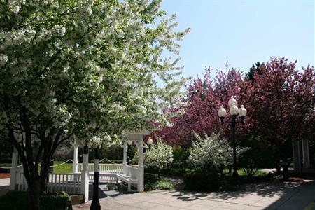 фото отеля Hampton Inn Burlington Colchester (Vermont)