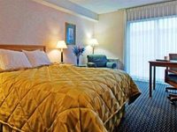 Comfort Inn Brampton