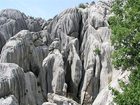 фото отеля Pansion Roli