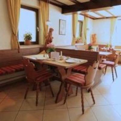 фото отеля Hotel Ristorante Regina Zirndorf