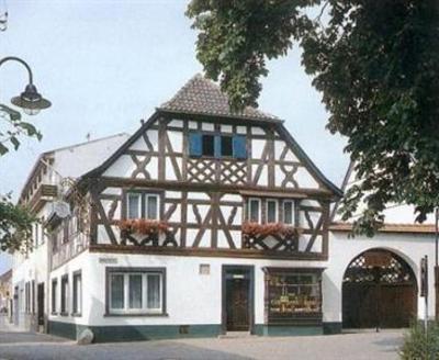 фото отеля Hotel Gruner Baum Bretzenheim