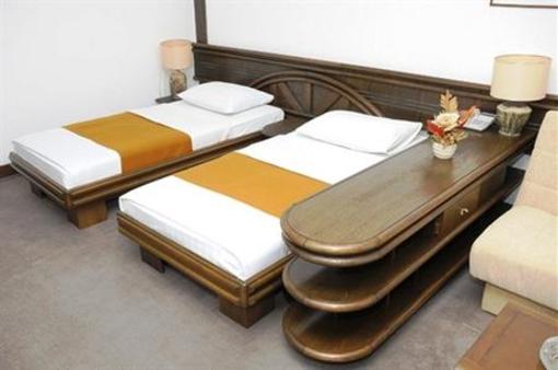 фото отеля Novi Palas Hotel