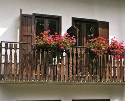 фото отеля Camping Hotel Grivola