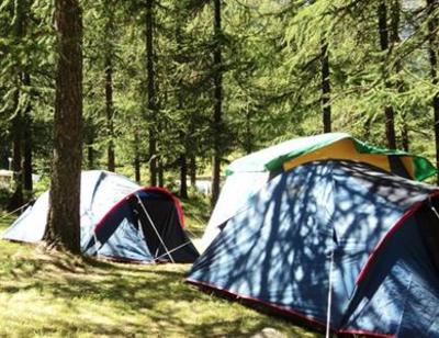 фото отеля Camping Hotel Grivola