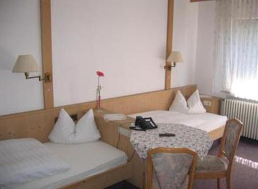фото отеля Lowen Hotel & Restaurant Wendlingen