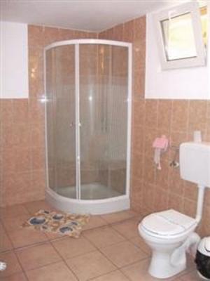 фото отеля Pension Ileana