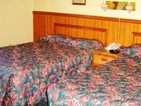 The Redwood Motel