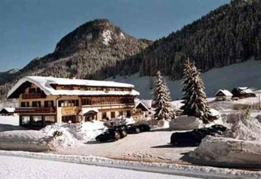 фото отеля Hotel - Restaurant Gosauerhof