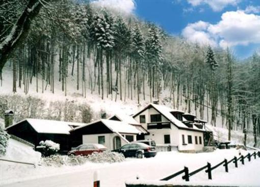 фото отеля Penzion Macocha Blansko