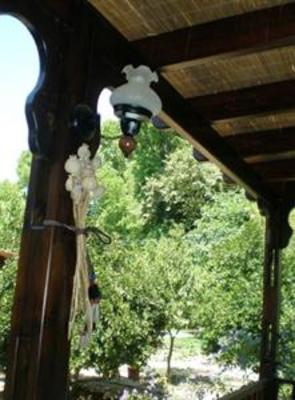 фото отеля Defne Hotel Camlikoy