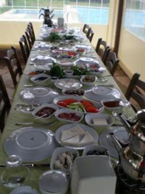 фото отеля Defne Hotel Camlikoy