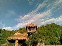 Tree Top Bungalows