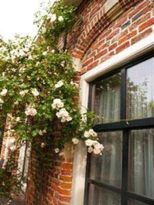 фото отеля Hotel De Abdij Van Dokkum