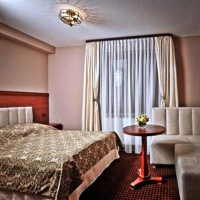 фото отеля Hotel Modrzewiowka