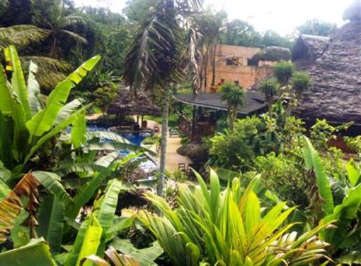 фото отеля Arasha Tropical Forest Resort and Spa