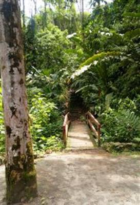 фото отеля Arasha Tropical Forest Resort and Spa