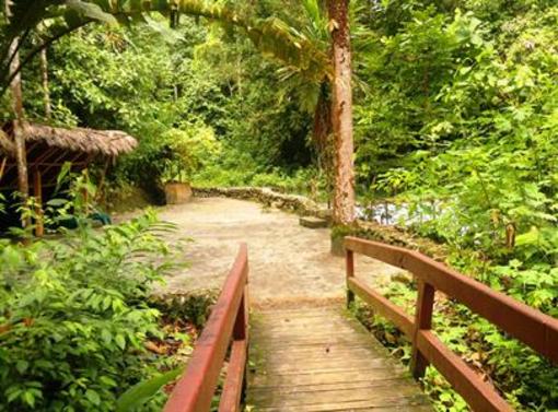 фото отеля Arasha Tropical Forest Resort and Spa