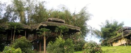 фото отеля Arasha Tropical Forest Resort and Spa