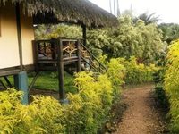 Arasha Tropical Forest Resort and Spa