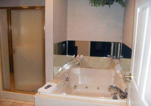 фото отеля Sleep Inn & Suites, Green Bay Airport