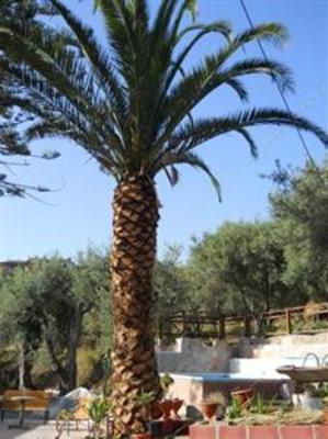 фото отеля Michelangelo House Holiday