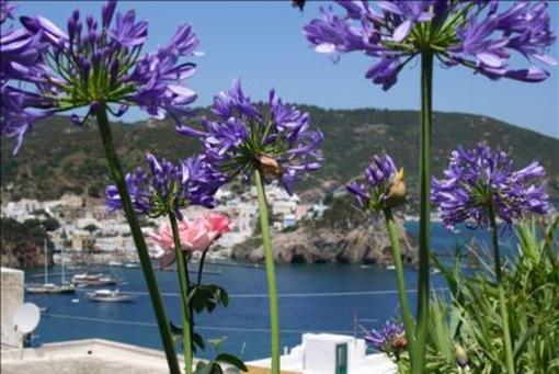 фото отеля Villa Ersilia Ponza