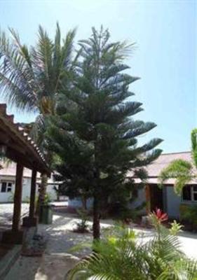 фото отеля Senari Bay Resort