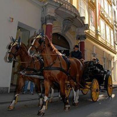 фото отеля Pension Pertschy
