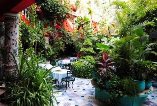 фото отеля Hotel Jungla Caribe