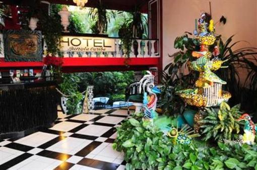 фото отеля Hotel Jungla Caribe