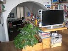фото отеля Agli Orti B&B Bergamo
