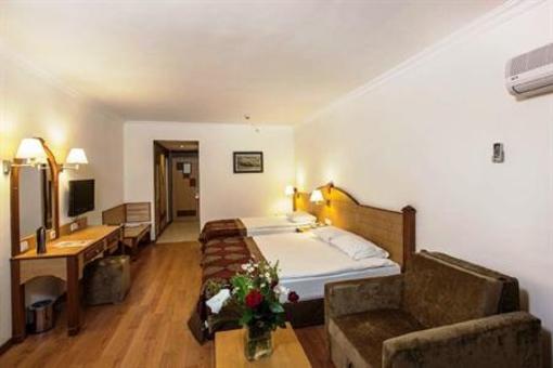 фото отеля Grand Hotel Art Side Colakli