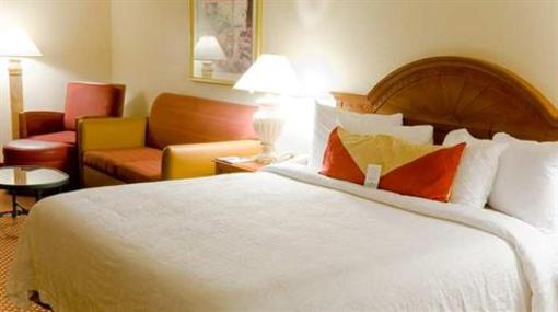 фото отеля Hilton Garden Inn Anaheim/Garden Grove