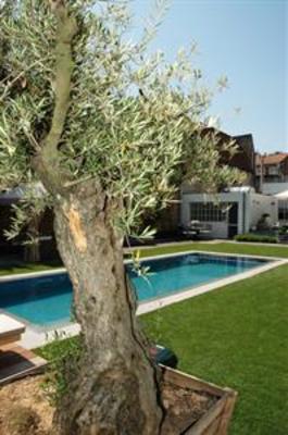 фото отеля Casa Romantico
