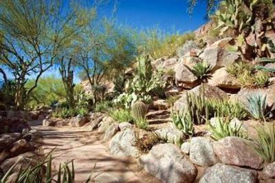 фото отеля The Canyon Suites at The Phoenician