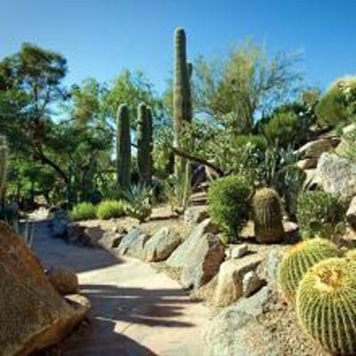 фото отеля The Canyon Suites at The Phoenician