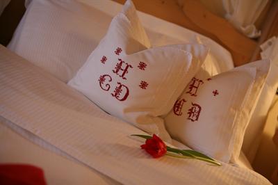 фото отеля Hotel Carpe Diem Vigo di Fassa