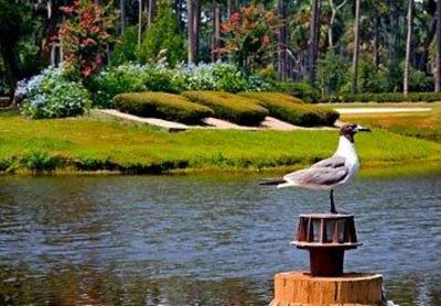 фото отеля Sawgrass Marriott  Resort Ponte Vedra Beach