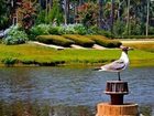 фото отеля Sawgrass Marriott  Resort Ponte Vedra Beach