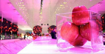 фото отеля Adam & Eve Hotels